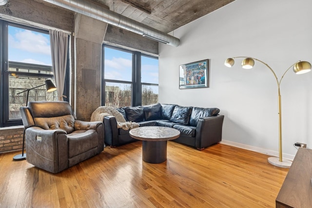 1069 W 14th Pl Unit 333, Chicago, IL 60608 - living area with wood finished floors, a towering ceiling, and baseboards