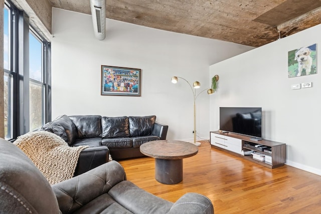 1069 W 14th Pl Unit 333, Chicago, IL 60608 - living room featuring wood finished floors and baseboards