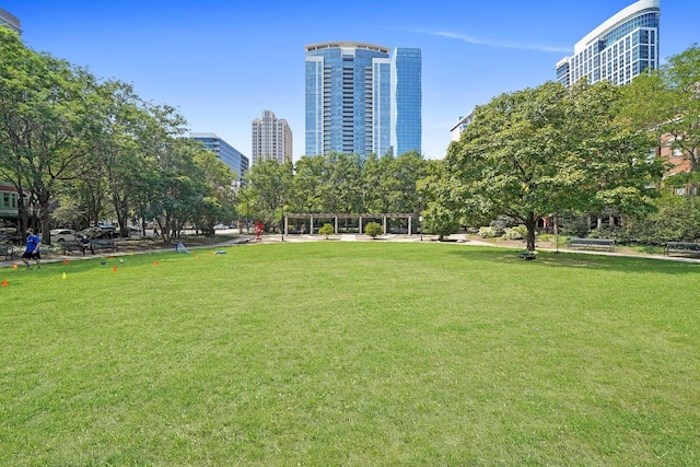 1429 S Prairie Ave, Chicago, IL 60605 - view of community featuring a yard