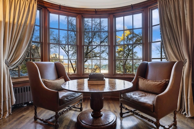 199 E Lake Shore Dr Unit 3, Chicago, IL 60611 - sitting room featuring radiator heating unit and wood finished floors