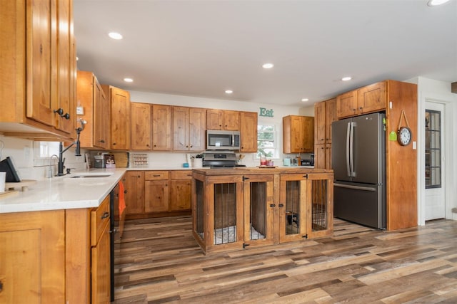17469 N 300 E Rd, Flanagan, IL 61740 - kitchen with stainless steel appliances, wood finished floors, light countertops, recessed lighting, and a sink