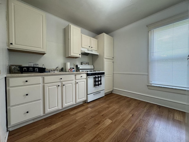 1309 S Main St, Bloomington, IL 61701 - kitchen with white gas range, under cabinet range hood, dark wood-style flooring, white cabinets, and a sink