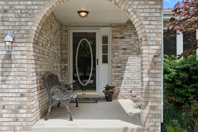 5203 Brighton Ln, Plainfield, IL 60586 - view of exterior entry featuring brick siding and a porch