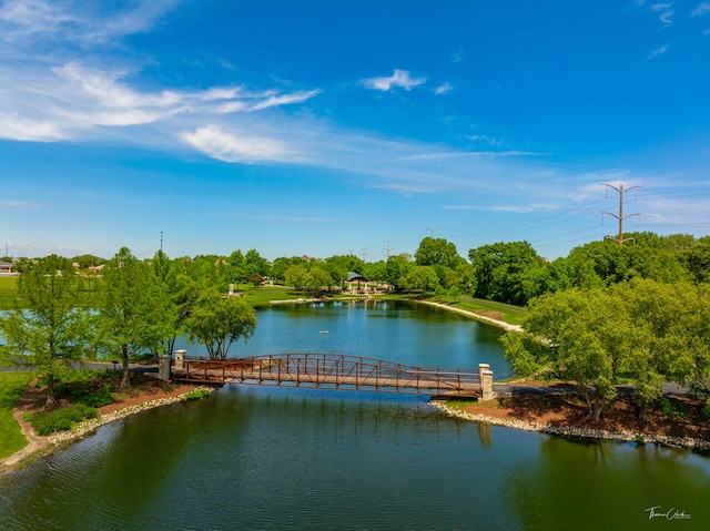 5203 Brighton Ln, Plainfield, IL 60586 - water view featuring a boat dock and a tree filled landscape