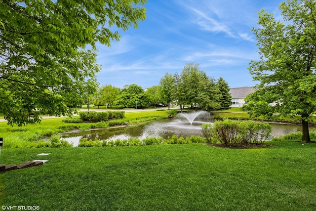 1532 Legacy Dr Unit 3, Dekalb, IL 60115 - view of green lawn with a water view
