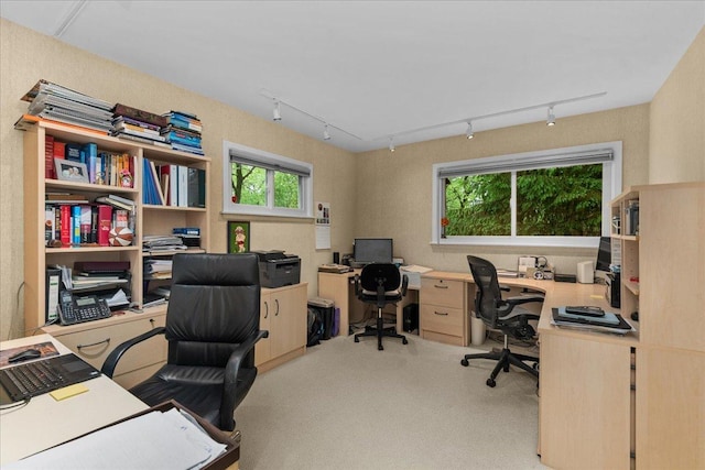 185 Carlisle Ave, Deerfield, IL 60015 - carpeted office with track lighting