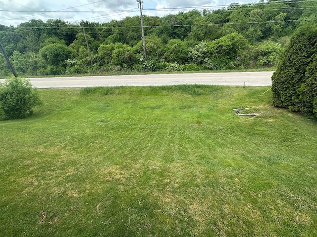 2123 Maxine Ln, Rockford, IL 61102 - view of green lawn