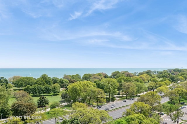 4250 N Marine Dr Unit 1406, Chicago, IL 60613 - aerial view of a large body of water