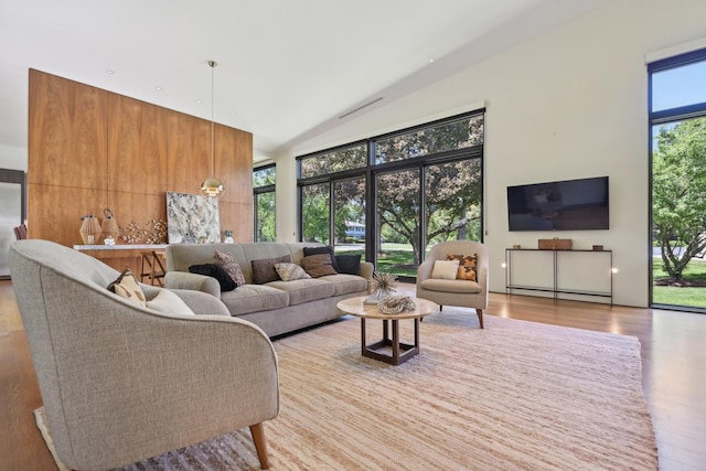 4N575 Old Quarry Rd, Saint Charles, IL 60174 - living area featuring wood finished floors and high vaulted ceiling