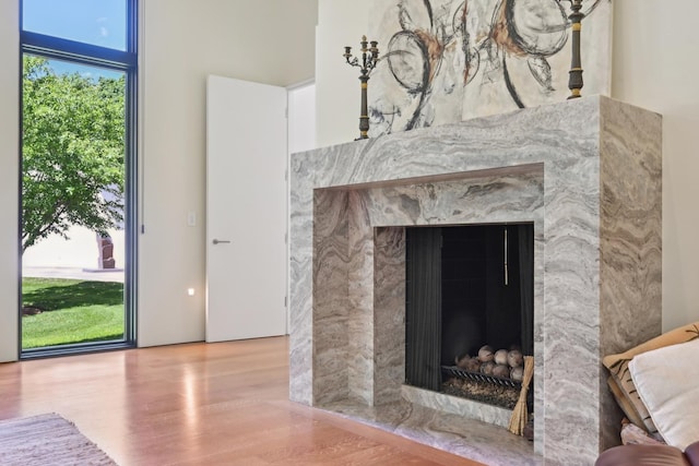 4N575 Old Quarry Rd, Saint Charles, IL 60174 - detailed view of a premium fireplace and wood finished floors