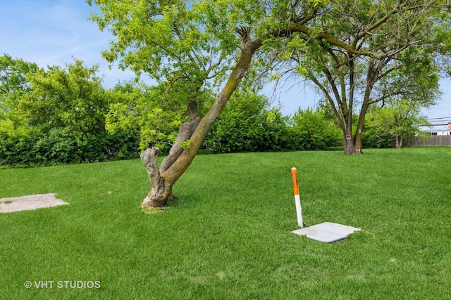 1180 Apple St, Hoffman Estates, IL 60169 - view of green lawn