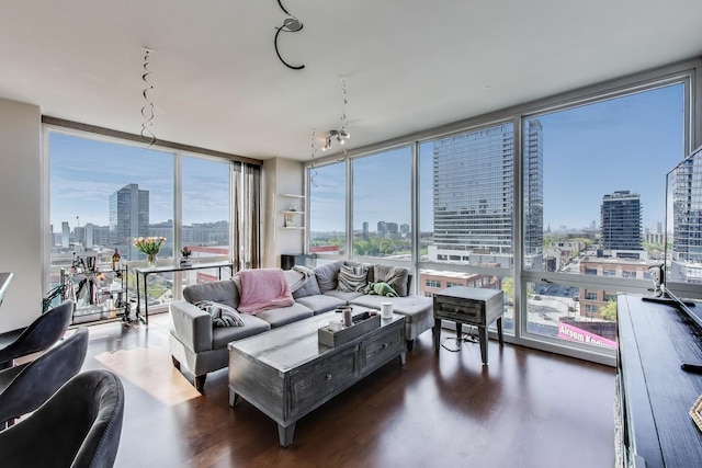 757 N Orleans St Unit 909, Chicago, IL 60654 - living room featuring a skyline view, wood finished floors, and a wall of windows