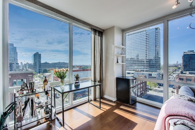 757 N Orleans St Unit 909, Chicago, IL 60654 - interior space featuring a view of city, wood finished floors, and a wall of windows