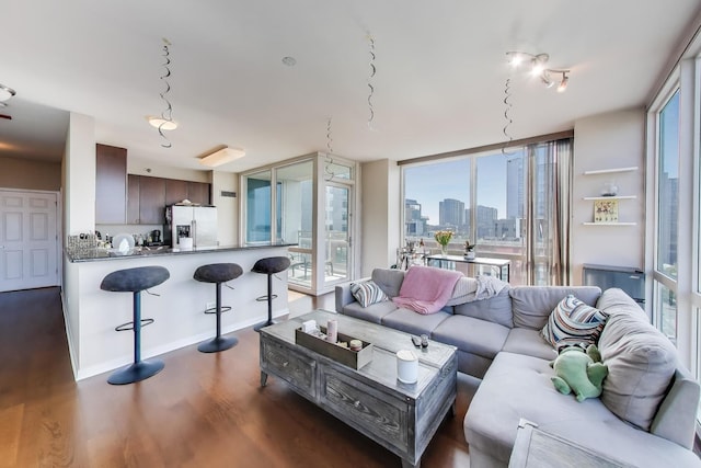 757 N Orleans St Unit 909, Chicago, IL 60654 - living room with plenty of natural light, dark wood finished floors, and a view of skyline