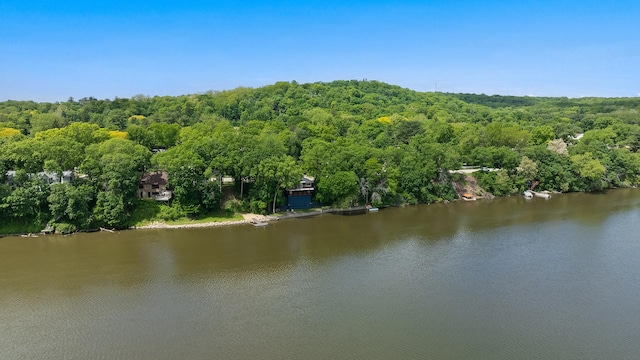 605 N 4th St, Oregon, IL 61061 - water view with a heavily wooded area