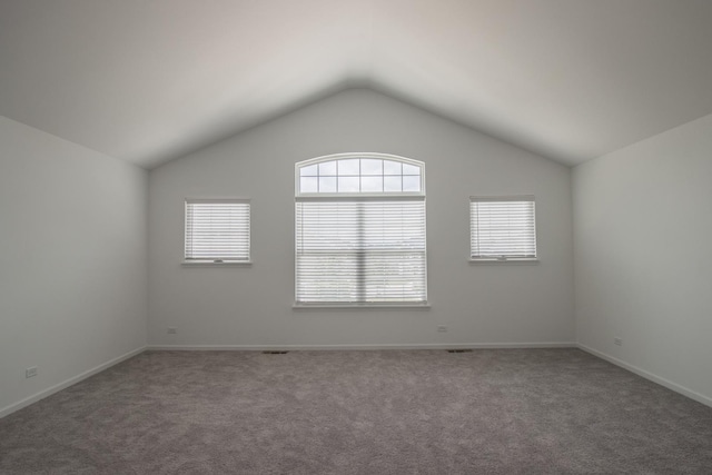 207 Jorrie Ln, Bloomingdale, IL 60108 - photo 29