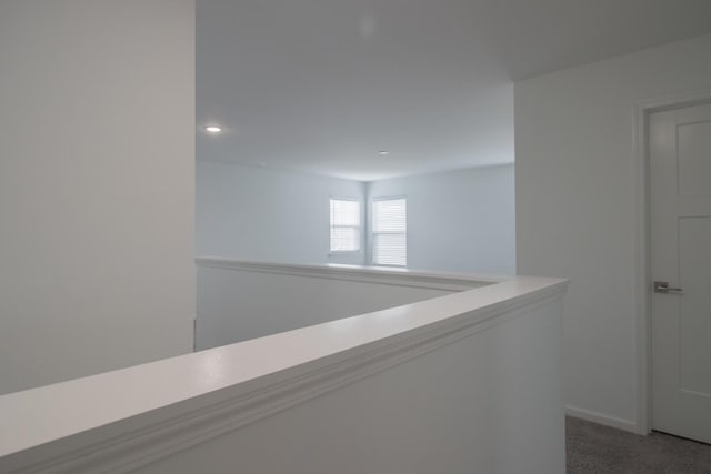 207 Jorrie Ln, Bloomingdale, IL 60108 - photo 32