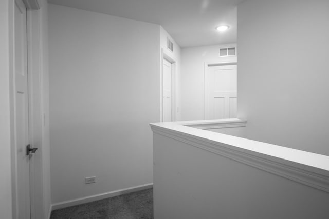 207 Jorrie Ln, Bloomingdale, IL 60108 - photo 33