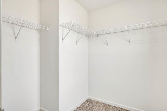 1554 Sequoia Way, Pingree Grove, IL 60140 - spacious closet featuring carpet flooring