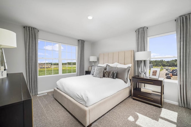 1554 Sequoia Way, Pingree Grove, IL 60140 - carpeted bedroom with multiple windows and baseboards
