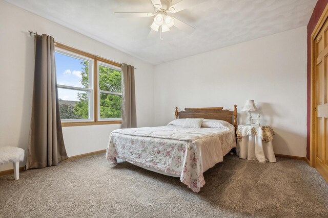 307 Shelden Dr, Winnebago, IL 61088 - bedroom featuring carpet floors, baseboards, and ceiling fan