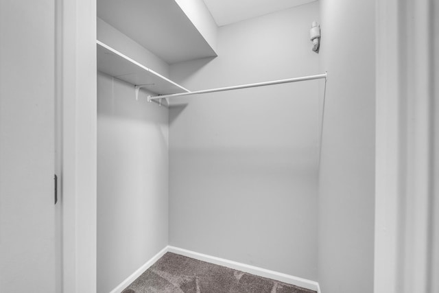 6135 W 94th St Unit C2, Oak Lawn, IL 60453 - spacious closet featuring dark carpet