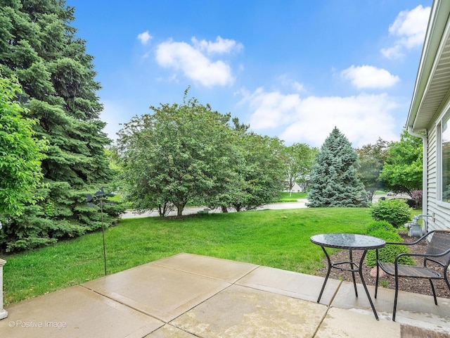 21142 W Braxton Ln Unit 21142, Plainfield, IL 60544 - view of grassy yard featuring a patio area