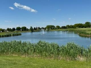 21142 W Braxton Ln Unit 21142, Plainfield, IL 60544 - water view