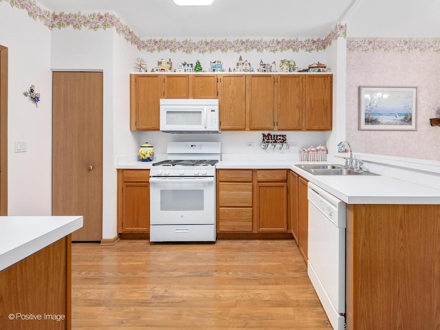 21142 W Braxton Ln Unit 21142, Plainfield, IL 60544 - kitchen with white appliances, a sink, light wood finished floors, and light countertops