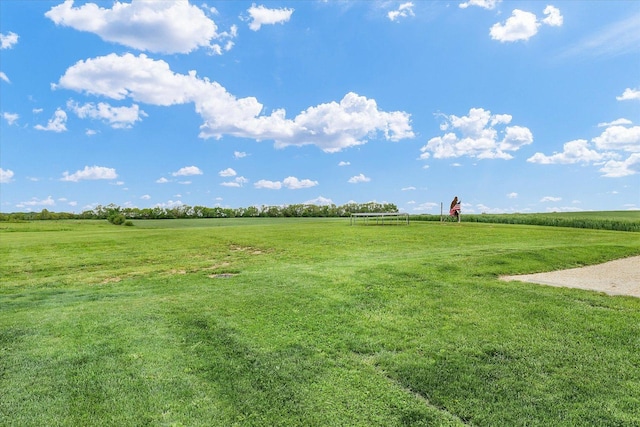 55 N 2600e Rd, Rankin, IL 60960 - view of grassy yard with a rural view