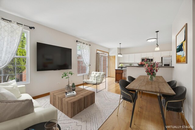 18582 W Point Dr, Tinley Park, IL 60477 - living room featuring light wood-type flooring and baseboards