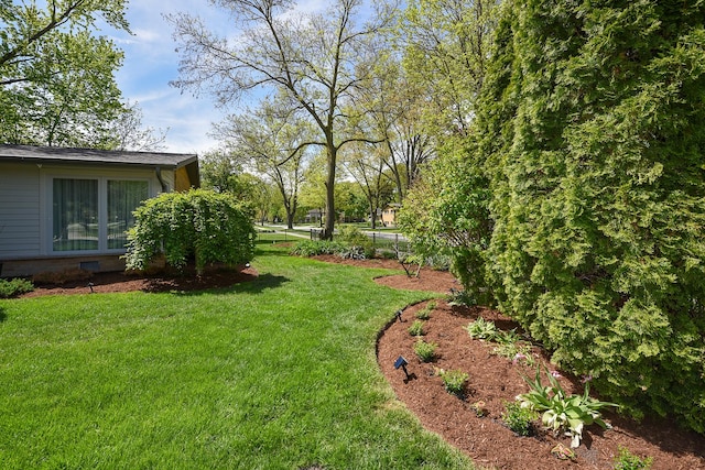 1605 E Euclid Ave, Arlington Heights, IL 60004 - view of green lawn