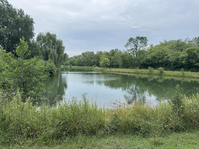 1502 Anderson Ln, Buffalo Grove, IL 60089 - photo 20