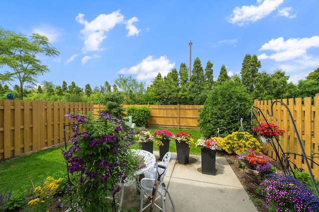 3246 N Heritage Ln, Arlington Heights, IL 60004 - photo 9