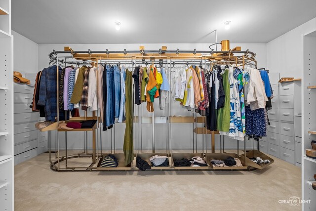 1900 Millburne Rd, Lake Forest, IL 60045 - walk in closet featuring carpet floors
