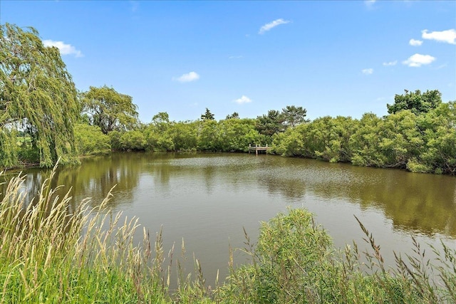27425 S Steven Ray Dr, Monee, IL 60449 - water view featuring a forest