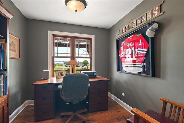 27425 S Steven Ray Dr, Monee, IL 60449 - home office featuring dark wood finished floors and baseboards