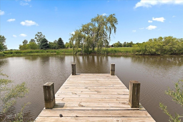 27425 S Steven Ray Dr, Monee, IL 60449 - dock area featuring a water view