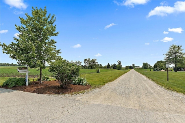 27425 S Steven Ray Dr, Monee, IL 60449 - view of road