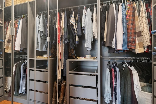 1012 S Loomis St Unit F, Chicago, IL 60607 - view of walk in closet