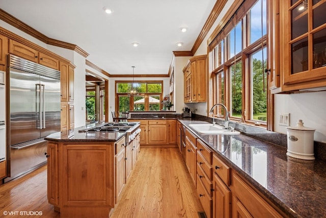 3 Shoreside Dr, South Barrington, IL 60010 - kitchen featuring appliances with stainless steel finishes, light wood-style flooring, glass insert cabinets, ornamental molding, and dark stone countertops