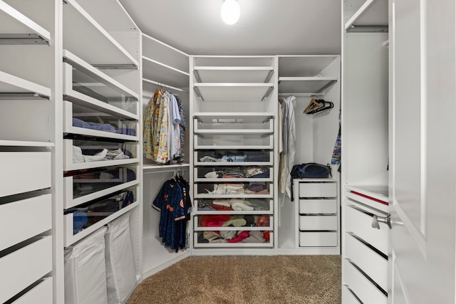1462 Haversham Dr, Aurora, IL 60502 - walk in closet featuring carpet floors