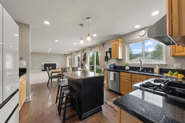 1462 Haversham Dr, Aurora, IL 60502 - kitchen featuring stainless steel dishwasher, a sink, a lit fireplace, dark wood finished floors, and recessed lighting