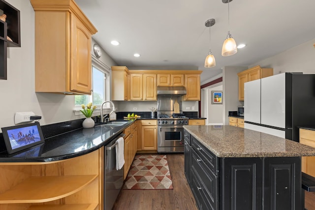 1462 Haversham Dr, Aurora, IL 60502 - kitchen with stainless steel appliances, a sink, open shelves, under cabinet range hood, and dark wood-type flooring
