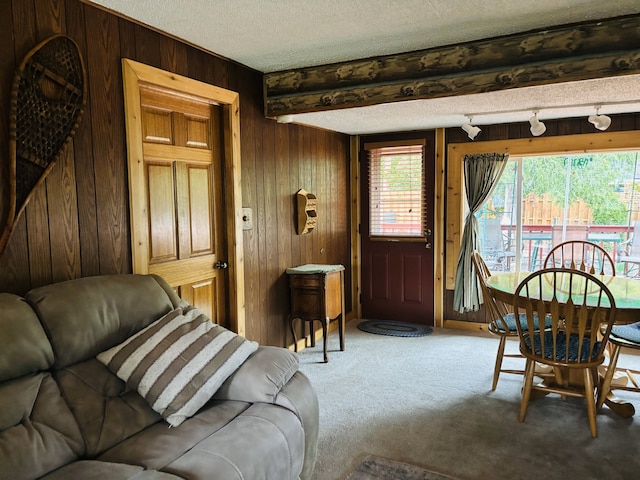 5116 154th St, Oak Forest, IL 60452 - carpeted living room featuring wooden walls and a textured ceiling