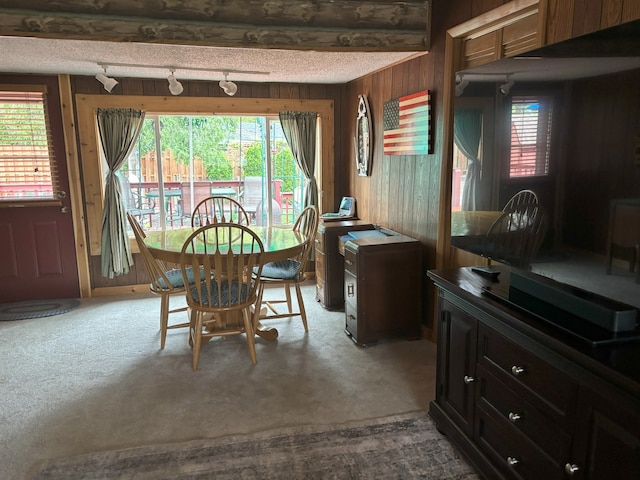 5116 154th St, Oak Forest, IL 60452 - dining space with wooden walls, healthy amount of natural light, carpet flooring, a textured ceiling, and track lighting