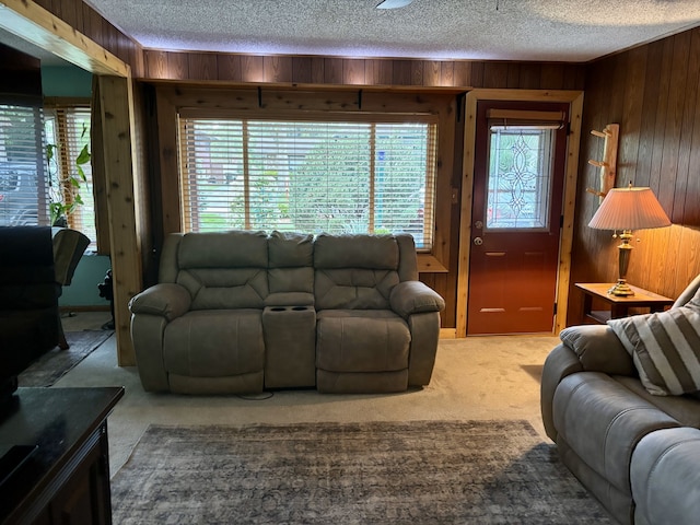 5116 154th St, Oak Forest, IL 60452 - living area featuring wooden walls, carpet, and a textured ceiling