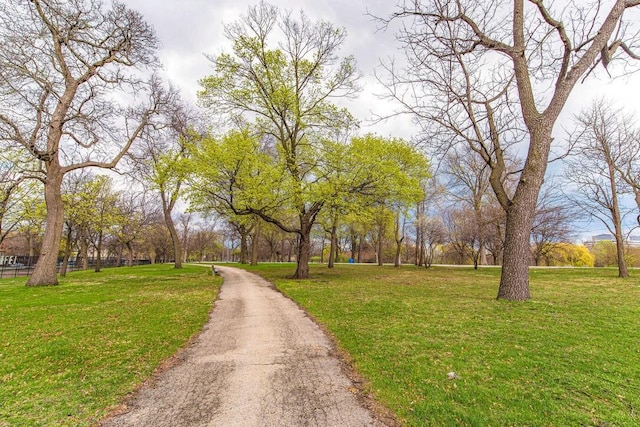 5942 S King Dr Unit 2N, Chicago, IL 60637 - view of street