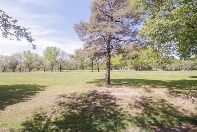 196 Shoreline Rd, Lake Barrington, IL 60010 - view of community with a lawn and view of scattered trees