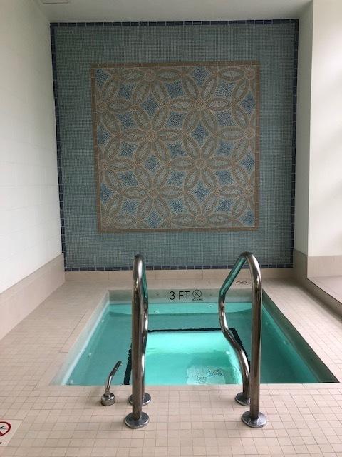 474 N Lake Shore Dr Unit 5306, Chicago, IL 60611 - view of pool